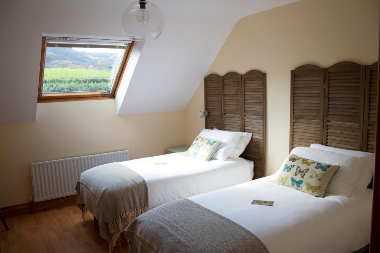 باليليفين Madra Rua Organic Accommodation المظهر الخارجي الصورة